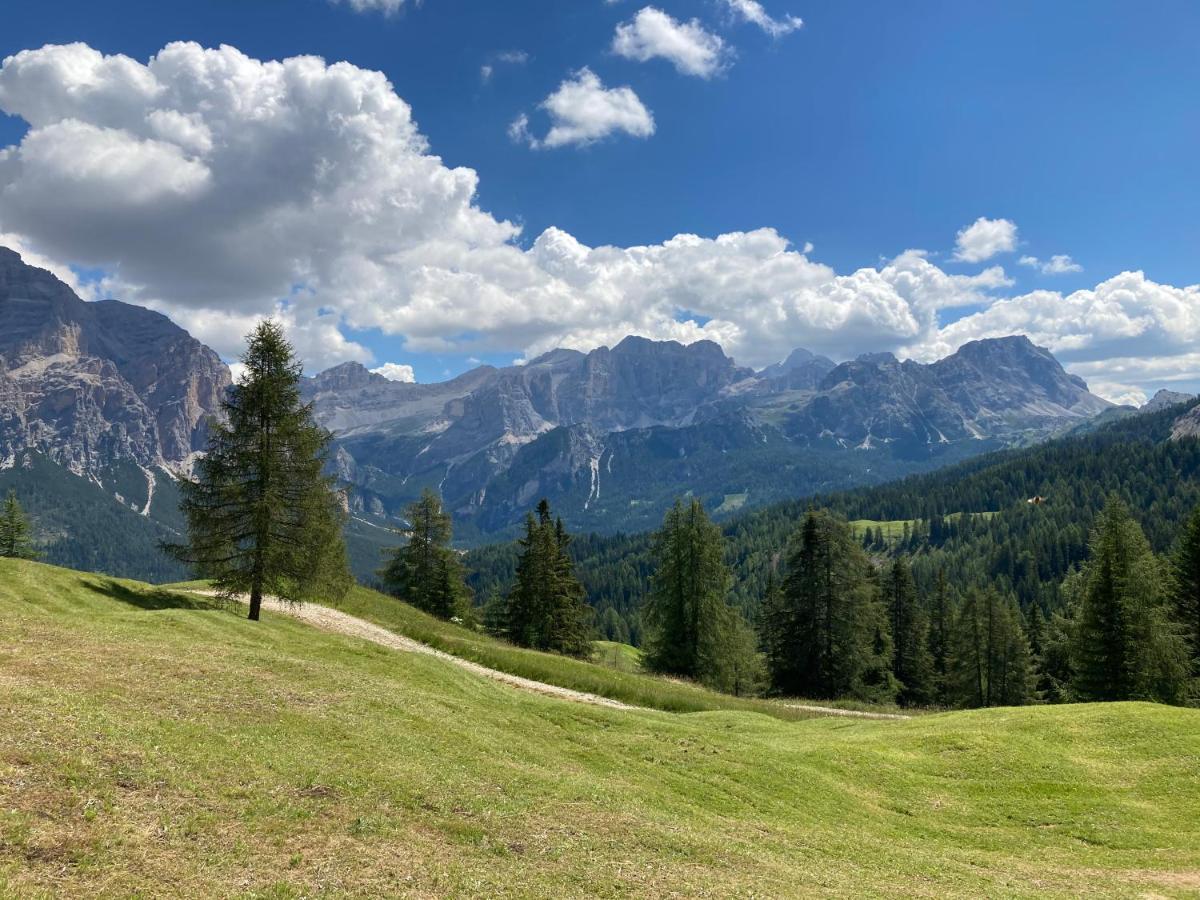 Appartamento A San Cassiano Nel Cuore Dell'Alta Val Badia In Confortevole Residence A Pochi Passi Dalla Bidonvia Sorega Eksteriør bilde