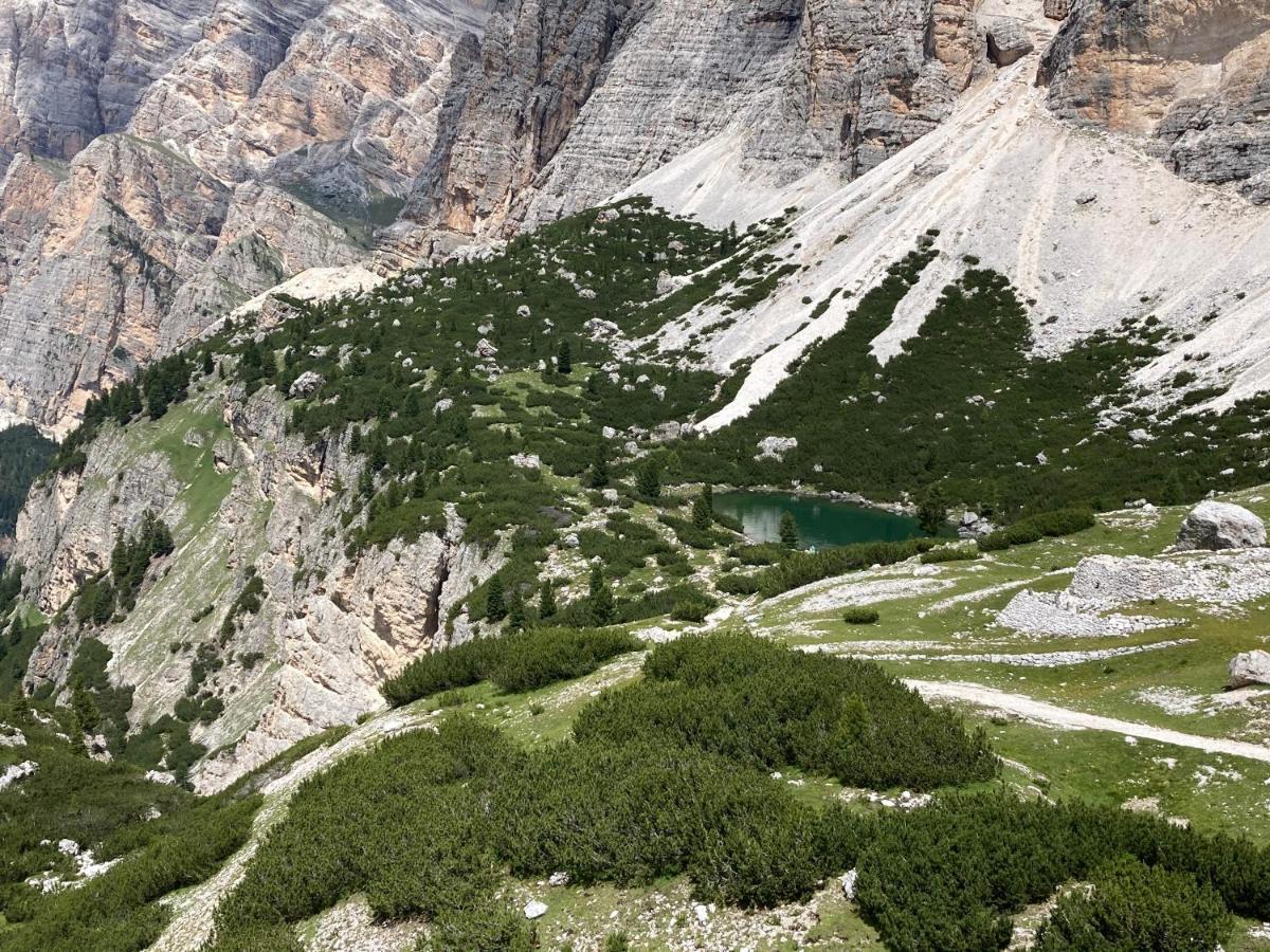 Appartamento A San Cassiano Nel Cuore Dell'Alta Val Badia In Confortevole Residence A Pochi Passi Dalla Bidonvia Sorega Eksteriør bilde